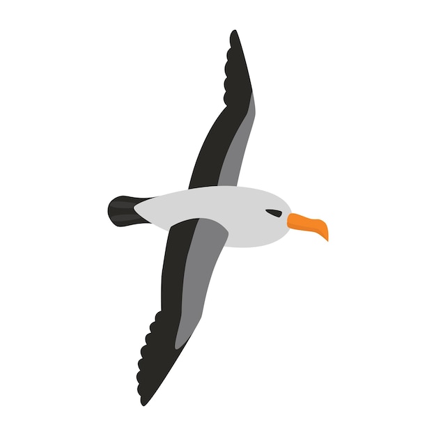 Albatros vogel vliegt