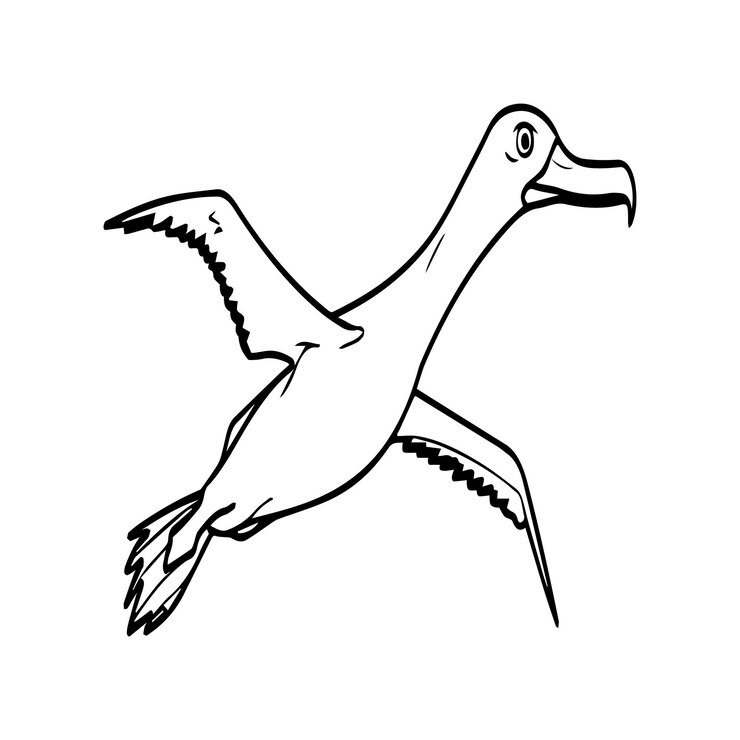 Vector albatross coloring pages albatross outline vector for coloring book