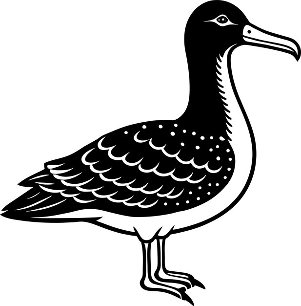 albatross silhouette vector illustration design