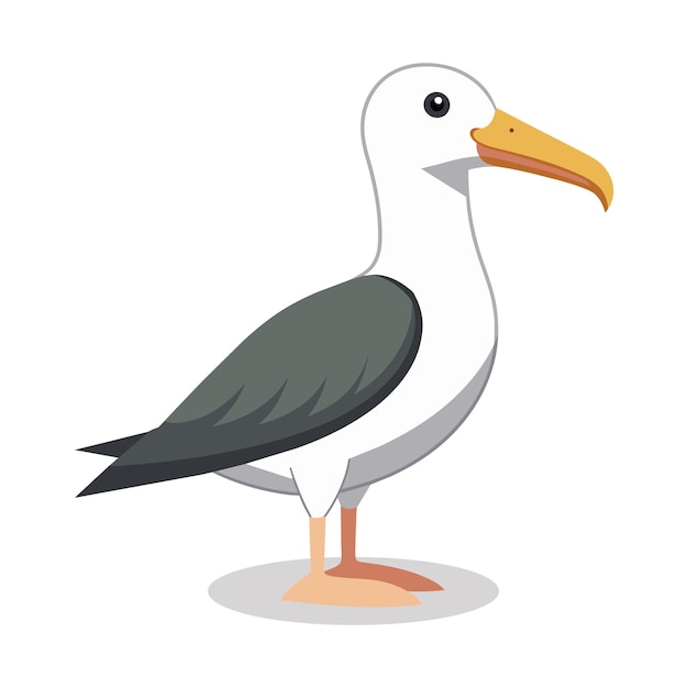 Albatrosses Vector flat illustration on white background