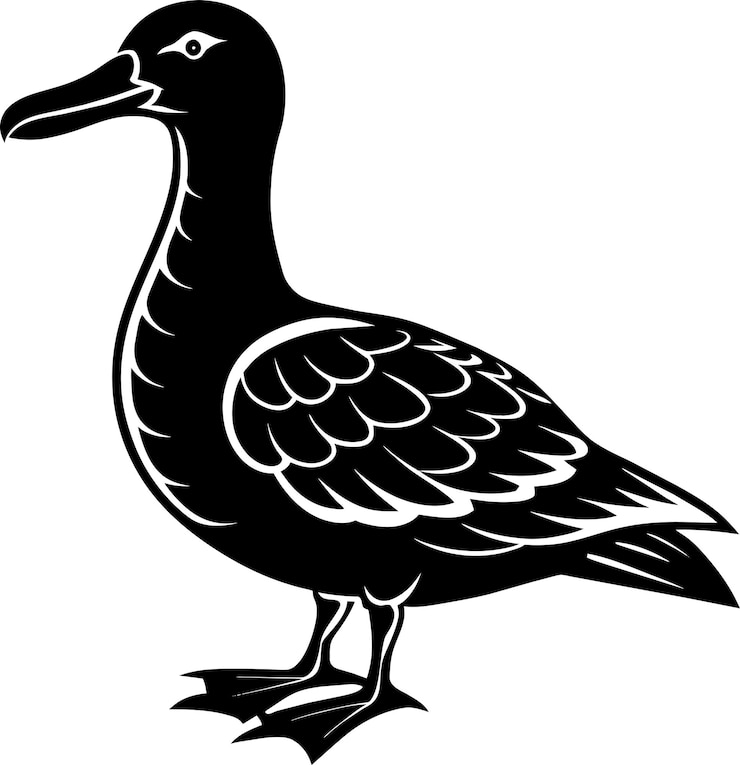 Vector albatrosssilhouet