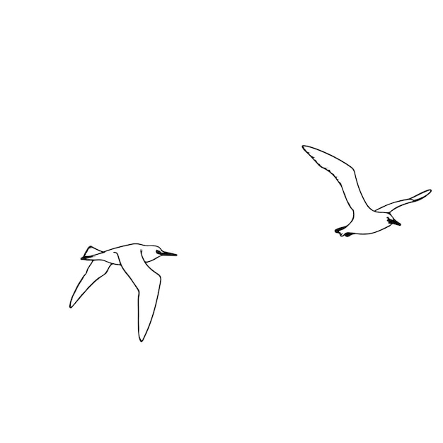 albatrossx9 line art on white backgroun