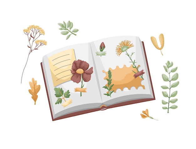 album with dried leaves glued to the tape. herbarium of leaves and flowers