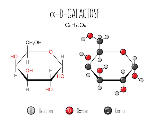 Vector alfa-galactose-weergave skeletformule en 2d-structuurillustratie webstijlillustratie bewerkbare vector