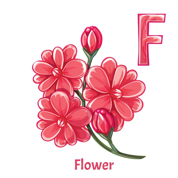 Alfabet, letter f van flower