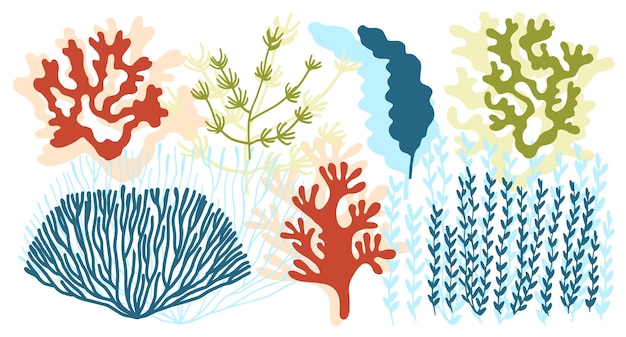 Algae and corals colored set vector