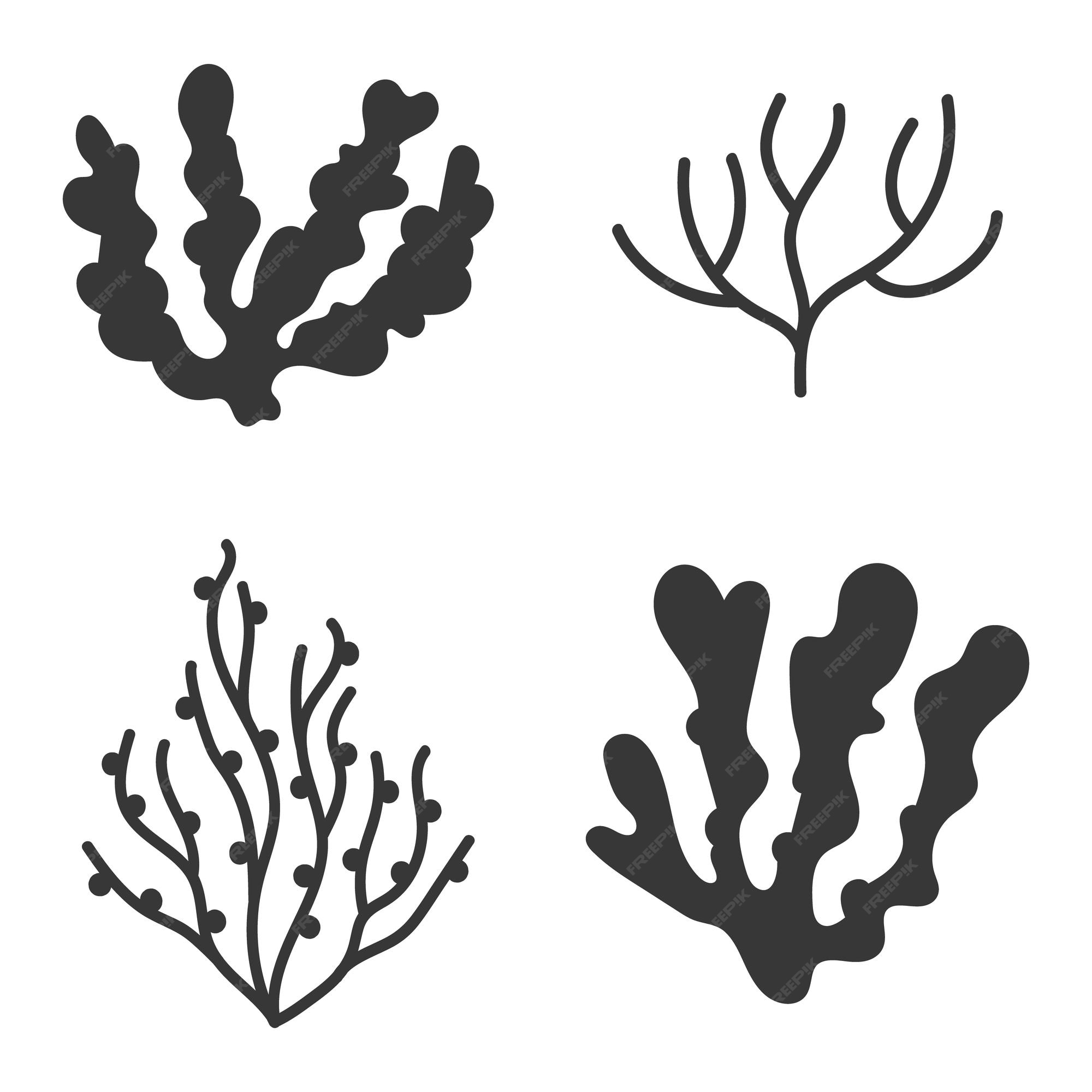 coral silhouette