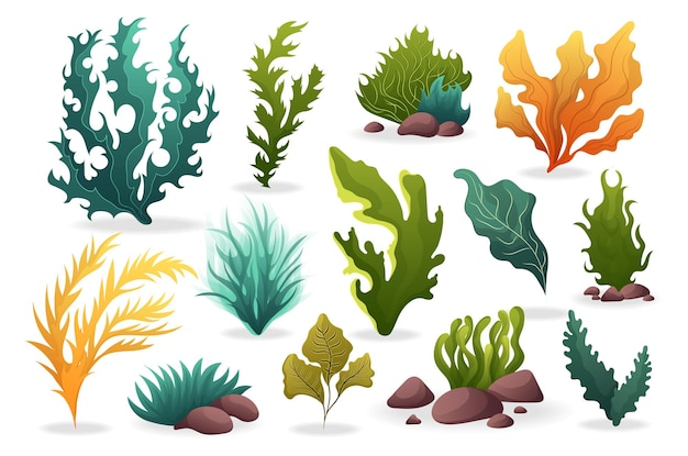 Algae set A set of flat cartoonstyle designs featuring various types of algae Vector illustration