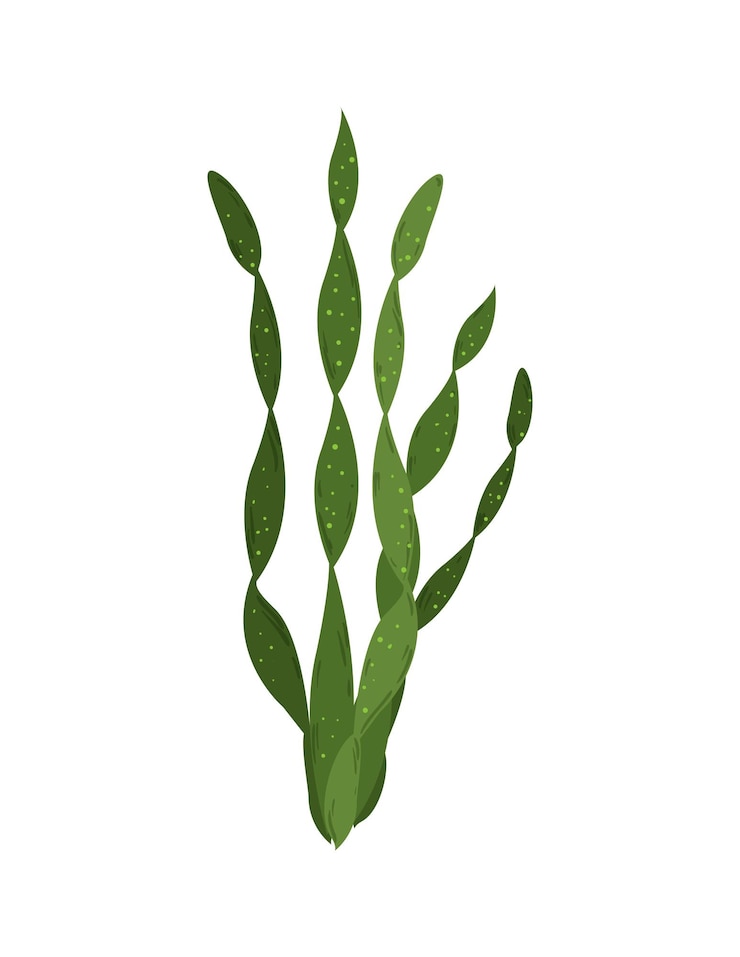 Vector algae