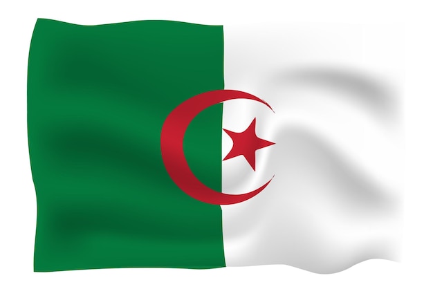 Vector algeria flag 3d folds vector