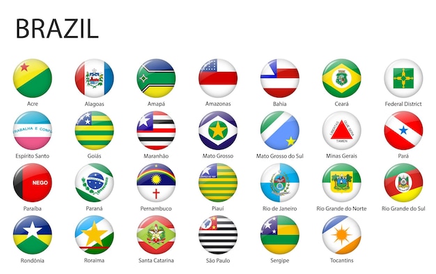 Vector all flags of states of brazil