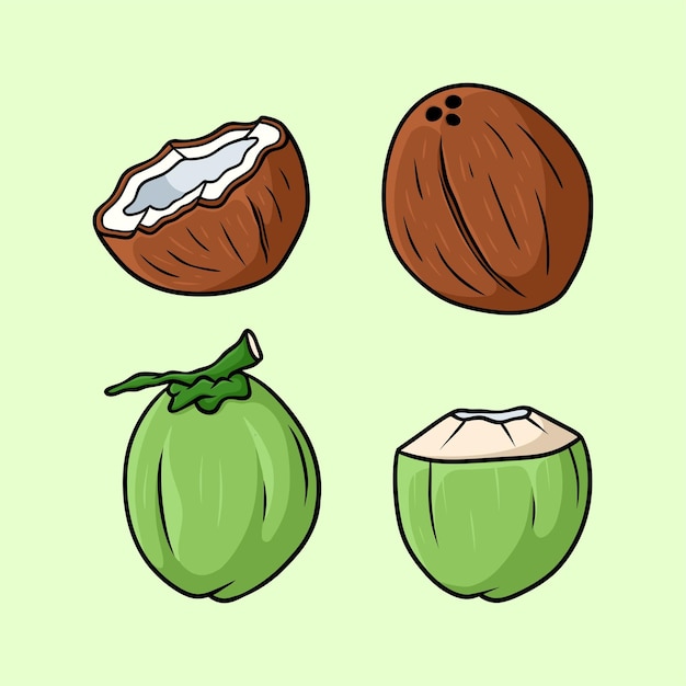 All Kinds of Coconut set Cartoon Vector