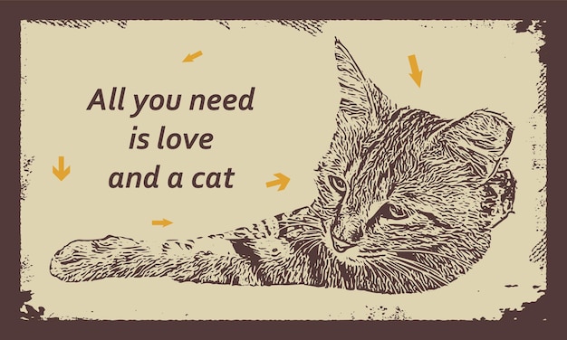 All you need is love and a cat