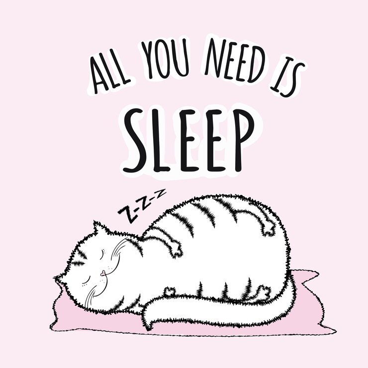 Vector all you need is sleep funny lettering on background vector illustration