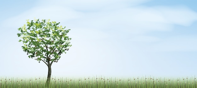 Alleen boom in groen veld.