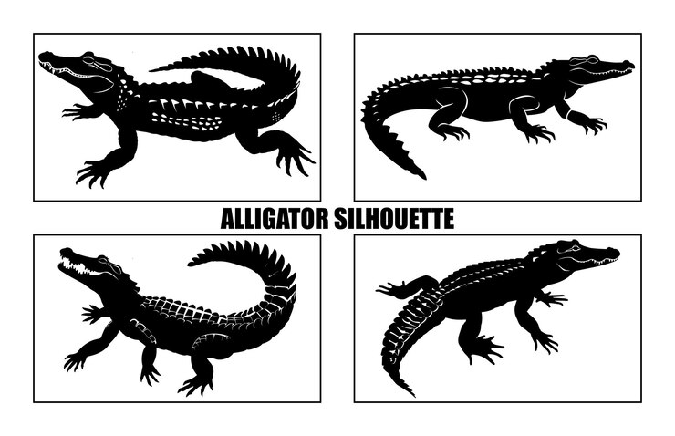 Vector alligator black vector silhouette on white background crocodile vector illustration wild animals
