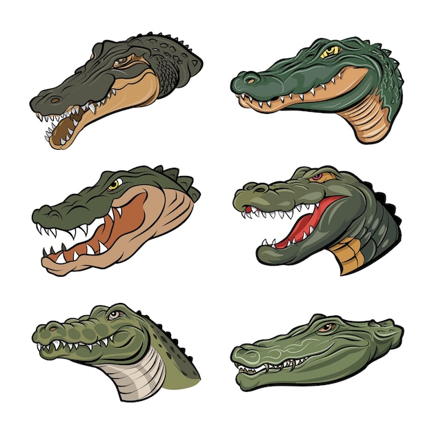 Vector alligator cartoon animal head collection icons vector illustration
