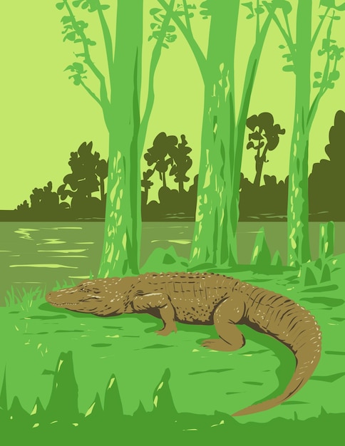 Alligator in Jean Lafitte National Historical Park and Preserve Louisiana USA Art Deco WPA Poster Art