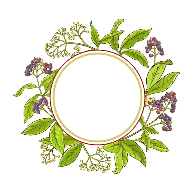 Allspice tak vector frame op witte achtergrond
