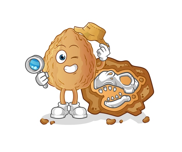 Almond archaeologists with fossils mascot cartoon vector