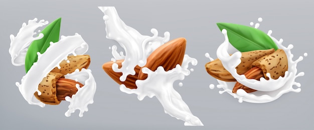 Vector almond and milk splash. 3d realistic  icon