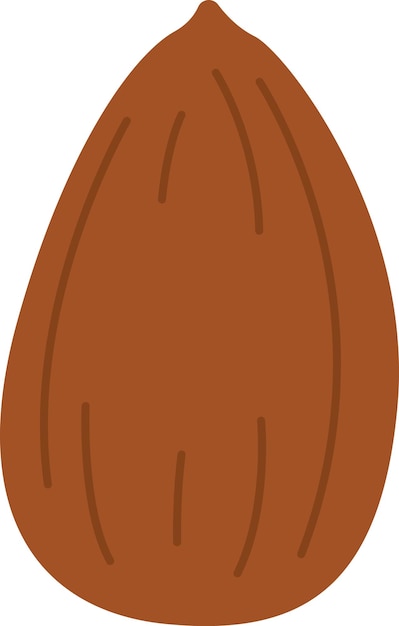 Almond nut icon