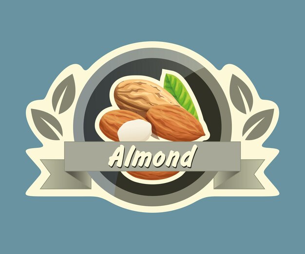 Vector almond nut vector sticker