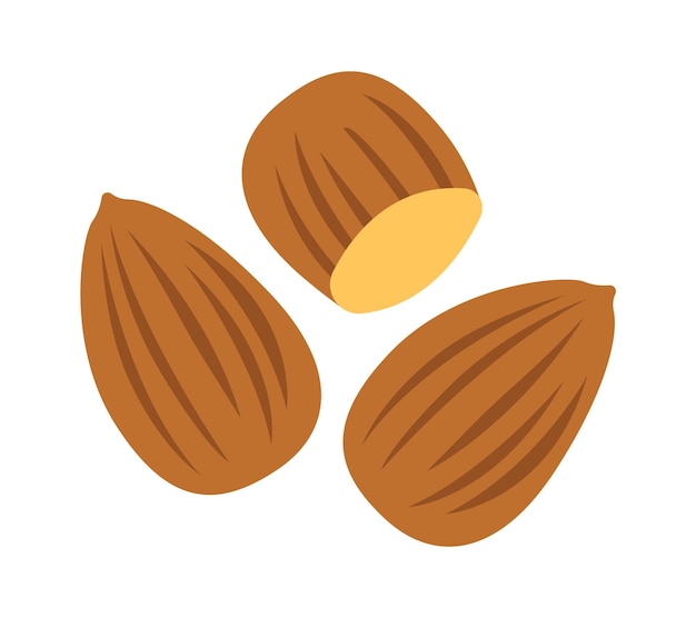 Almond nuts Healthy Food Vector illustration