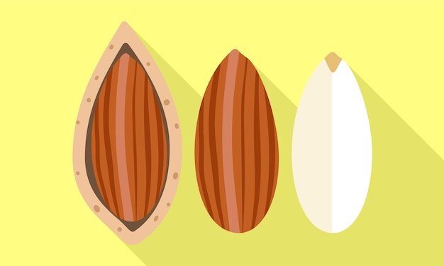 Almond shell clean icon Flat illustration of almond shell clean vector icon for web design