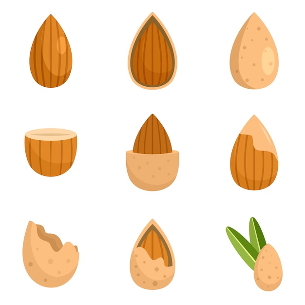 아몬드 호두 기름 씨앗 아이콘 설정 평면 스타일