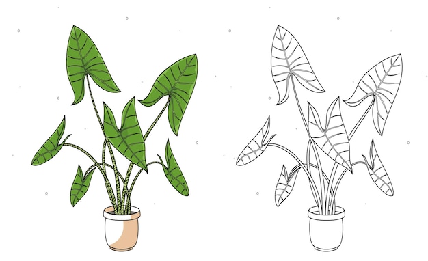 벡터 냄비 벡터에 alocasia 라인 및 컬러 꽃