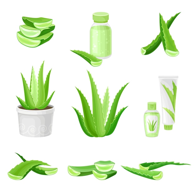 Aloe vera as ingredient for cosmetic products vector set