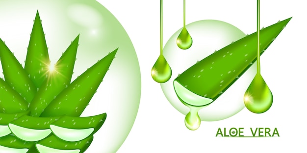 Collagene e siero di aloe vera per cosmetici per la cura della pelle