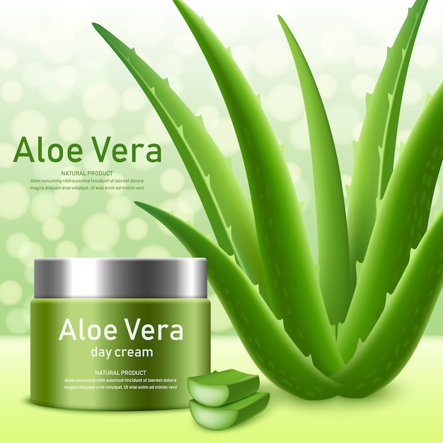 Vector aloe vera concept