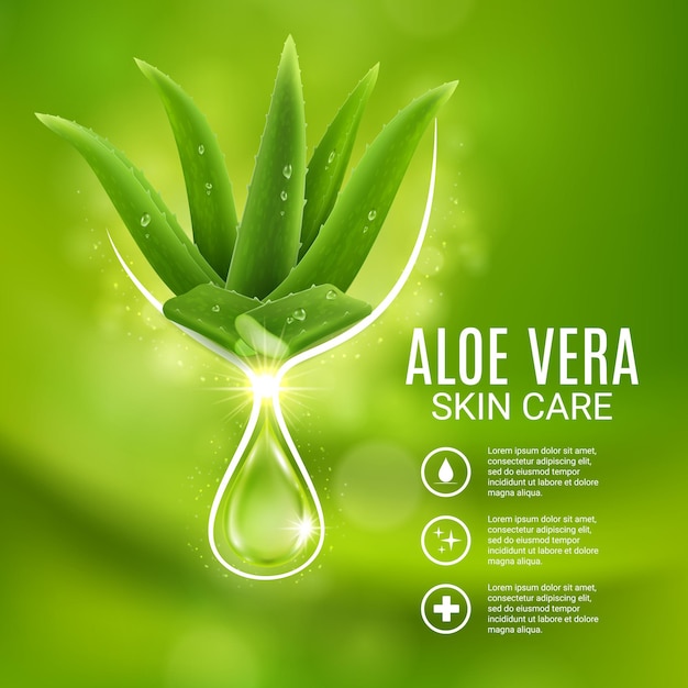 Aloë vera-extract, vectorposter voor huidverzorging, advertentie voor cosmeticaproductie met aloëplant en gloeiende druppel. Hydraterende cosmetische schoonheidsproductgel of bodylotion-reclameontwerp voor catalogus of tijdschrift;