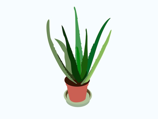 aloe Vera grapy houseplant succulent plant potted leaf