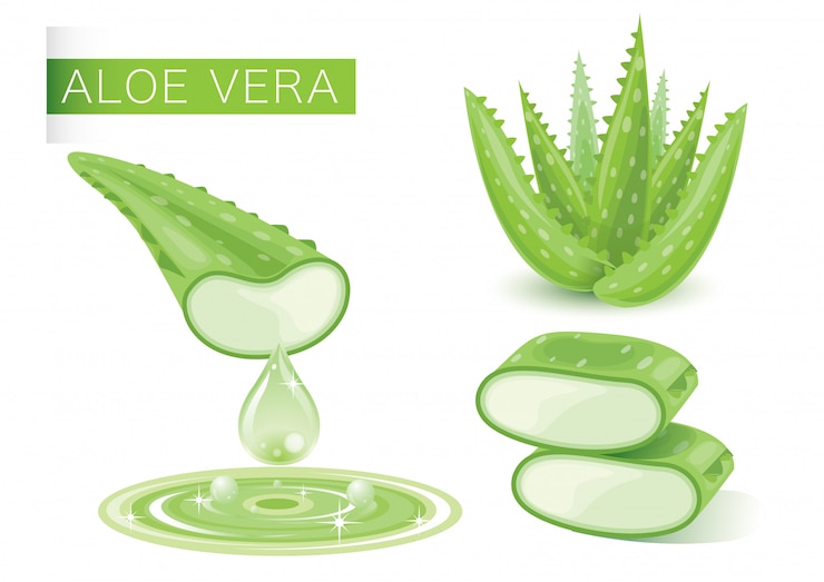 Aloë Vera Green Fresh