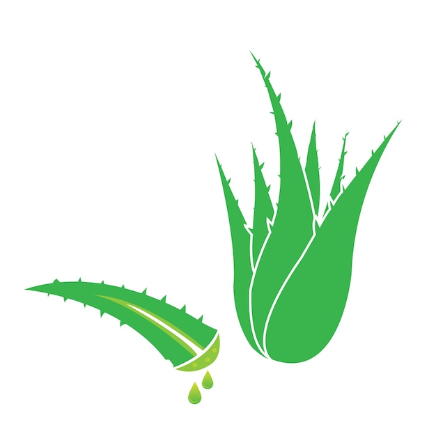 Aloe vera icon logo vector design template