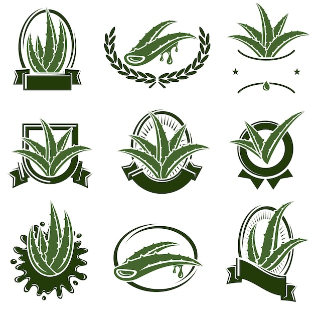 Aloe Vera labels and elements set Collection icon Aloe Vera Vector