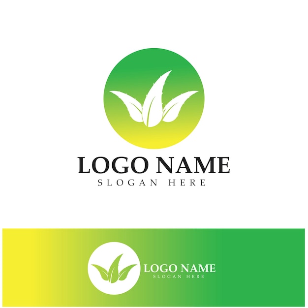 Aloe vera logo design icon vector
