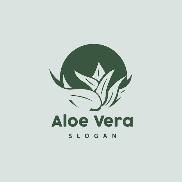 Aloe Vera Logo Herbal Plant Vector Illustration Symbol Icon Simple Design