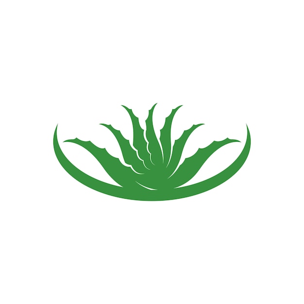 Aloe Vera logo icon design symbol beauty