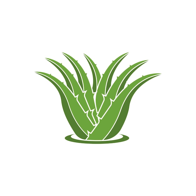 Aloe Vera logo icon design symbol beauty