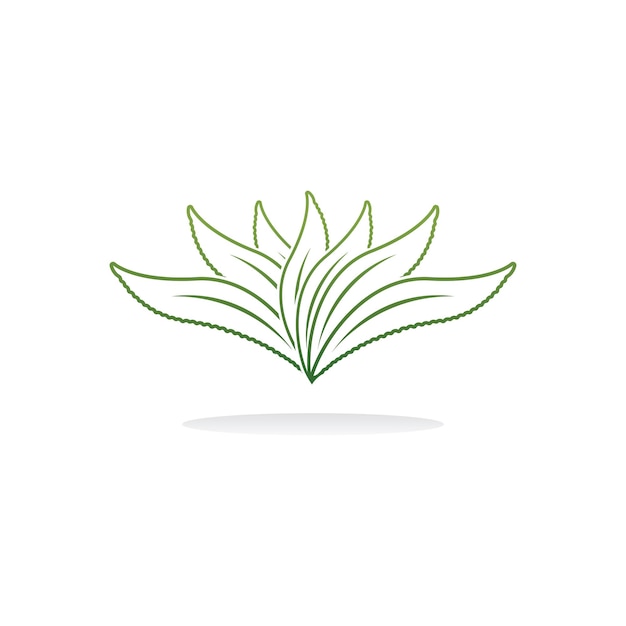 Aloe Vera logo icon design symbol beauty