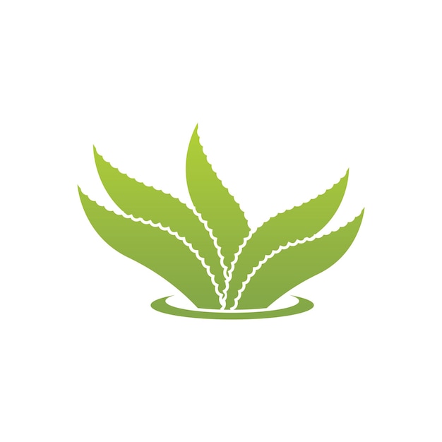 Aloe Vera logo icon design symbol beauty