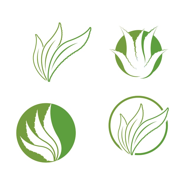 Aloe Vera logo icon design symbol beauty