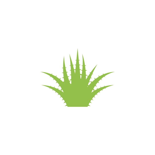 Aloe vera logo icon vector illustration template