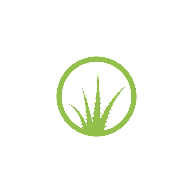 Aloe vera logo icon vector illustration template