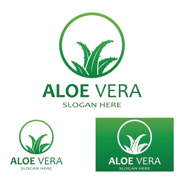 Aloë vera logo vector illustratie sjabloon