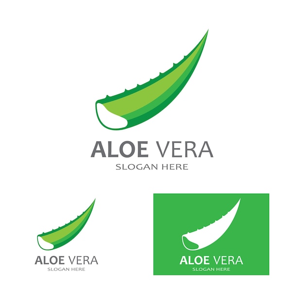 Modello di illustrazione vettoriale logo aloe vera